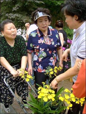 "영감이 꽃 사라고 2만원을 주었어요" 